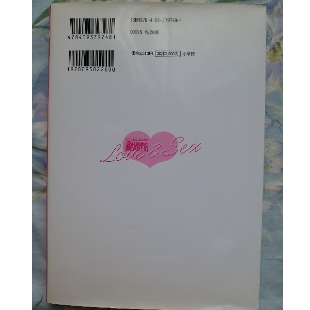 Love&Sex Super BEAUTY 叶恭子　DVD付き　定価2200円 エンタメ/ホビーの本(ノンフィクション/教養)の商品写真