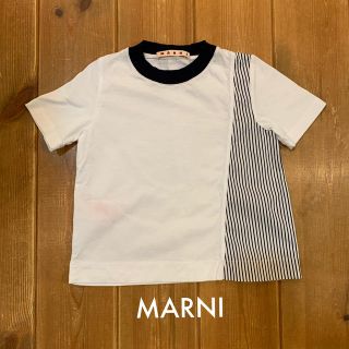 マルニ(Marni)の美品　marni Tシャツ　マルニ　ステラマッカートニー　ポールスミス(Tシャツ/カットソー)