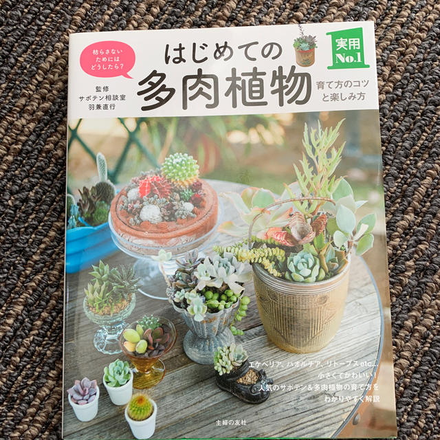 lampさん専用　多肉植物 育て方のコツと楽しみ方　枯らさないためにはどうした エンタメ/ホビーの本(趣味/スポーツ/実用)の商品写真