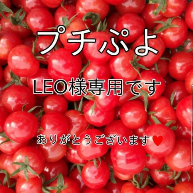 宝石のような煌めきを放つプチぷよ500g☆053ミニトマト