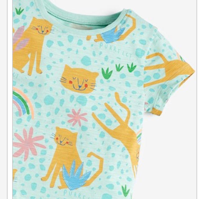 NEXT(ネクスト)のNEXT Tシャツ 5枚パック キッズ/ベビー/マタニティのキッズ服女の子用(90cm~)(Tシャツ/カットソー)の商品写真