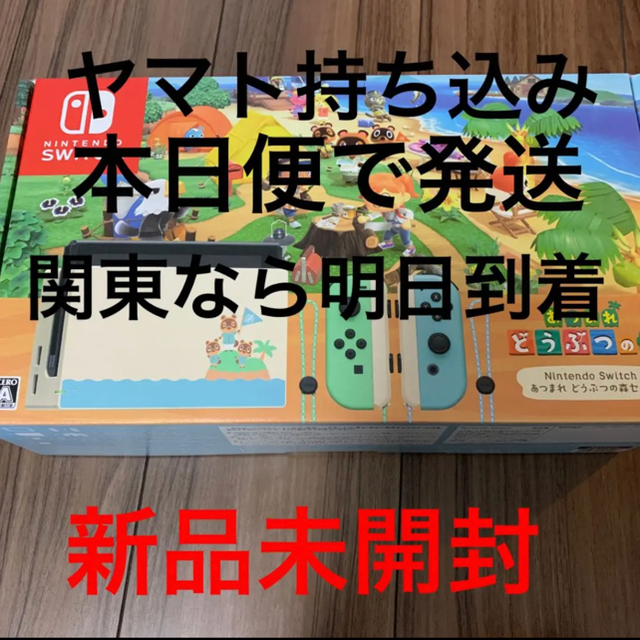 新品未開封　Nintendo Switch あつまれどうぶつの森　セット