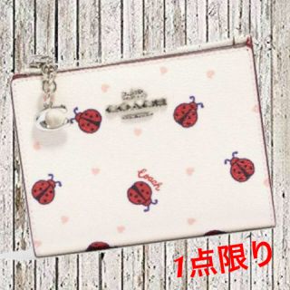 COACH - 【COACH】新製品 2つ折り 財布 IDケース てんとう虫 <1 COACH - 【COACH】新製品 2つ折り 財布 IDケース てんとう虫 <1