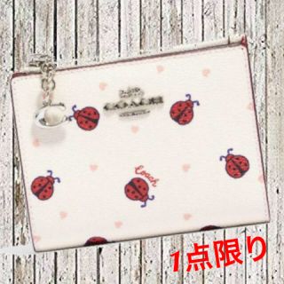 コーチ(COACH)の【COACH】新製品　2つ折り　財布　IDケース　てんとう虫　＜1点限り＞(財布)