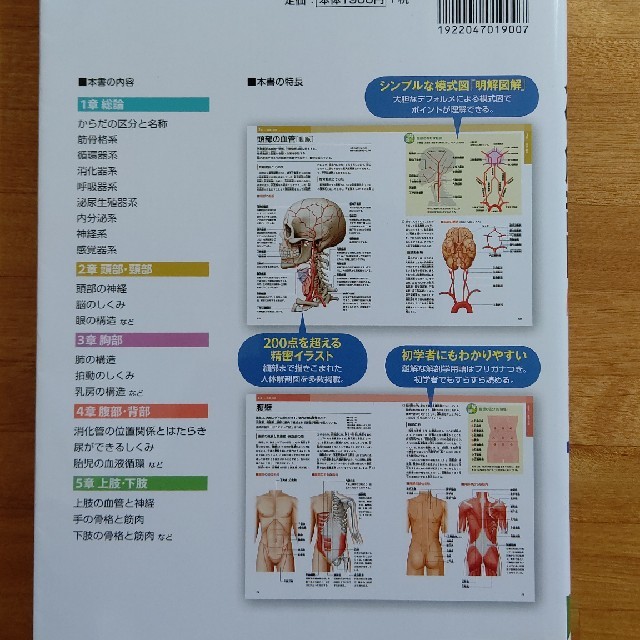 ぜんぶわかる人体解剖図 系統別 部位別にわかりやすくビジュアル解説の通販 By しんご S Shop ラクマ