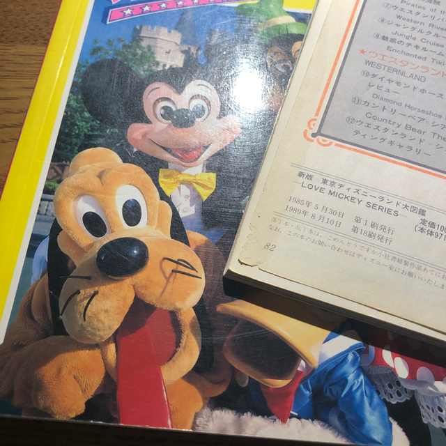 Disney(ディズニー)の【ジェラミ様専用】最新版&新版　東京ディズニーランド大図鑑 エンタメ/ホビーの本(地図/旅行ガイド)の商品写真