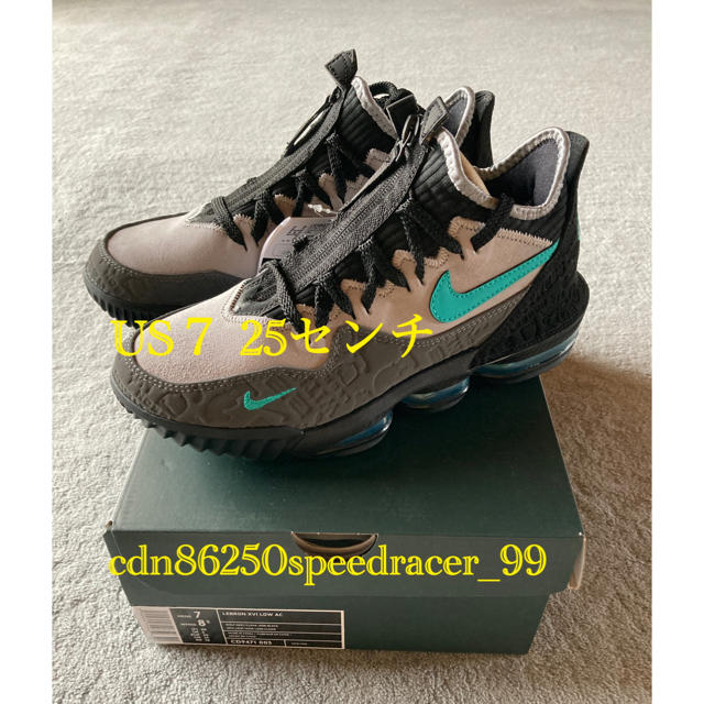 NIKE LEBRON XVI LOW AC レブロンロー グレー 25cm