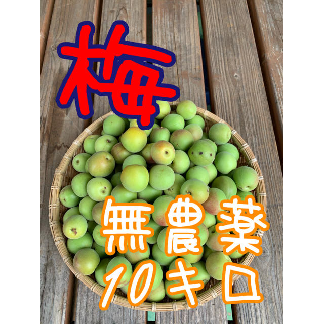 果物 無農薬 梅 一箱限定販売 鹿児島産 1キロ 専門店では | tilaacatering.fi