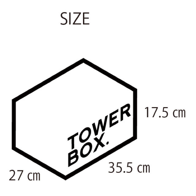 UNDEFEATED(アンディフィーテッド)のTOWER BOX 2セット12ケース メンズの靴/シューズ(スニーカー)の商品写真