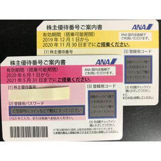 エーエヌエー(ゼンニッポンクウユ)(ANA(全日本空輸))のANA株主優待2枚セット　優待冊子付(その他)