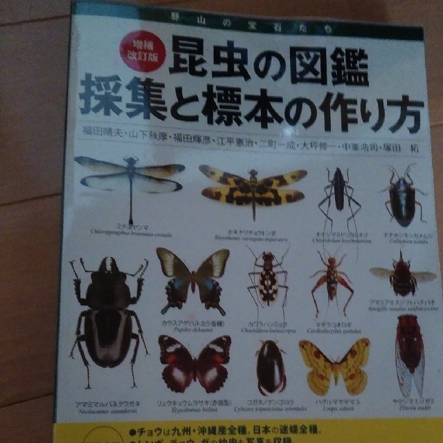 昆虫標本の本　二冊で
