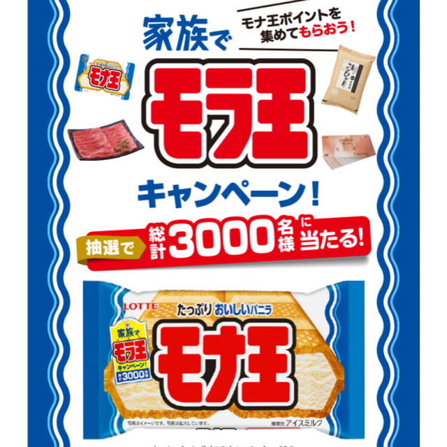 モナ王　30ポイント その他のその他(その他)の商品写真