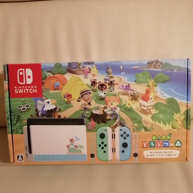 Nintendo Switch　ニンテンドースイッチ　あつまれどうぶつの森　本体