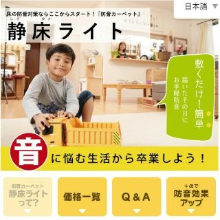 【おさと様専用1つ目】防音タイルカーペット 静床ライト(カーペット)