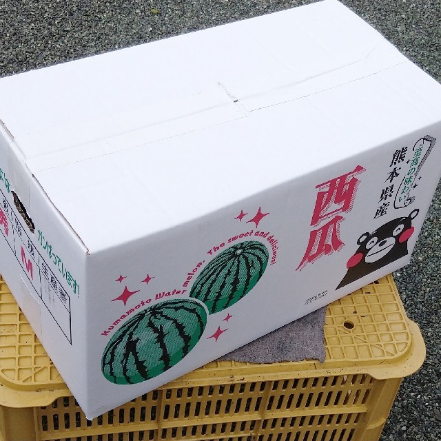 セイヤーさま　専用【2玉入1箱】 食品/飲料/酒の食品(フルーツ)の商品写真