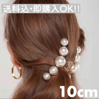 piku様専用ページ(バレッタ/ヘアクリップ)