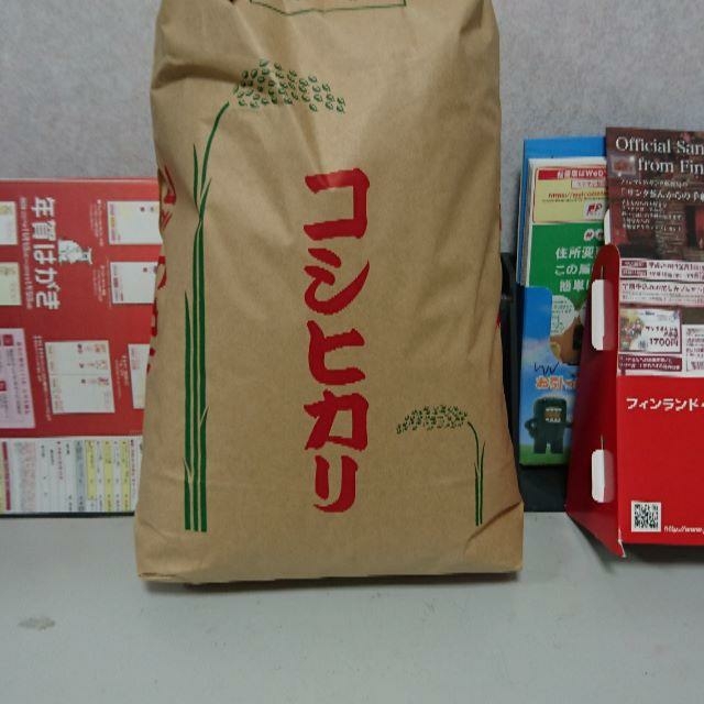 玄米但馬産新米取れたて、コシヒカリ25ｋｇ令和2年１等米 食品/飲料/酒の食品(米/穀物)の商品写真