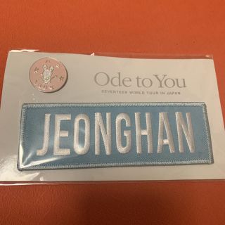 セブンティーン(SEVENTEEN)のSEVENTEEN Ode  to You ジョンハン  ワッペン(アイドルグッズ)