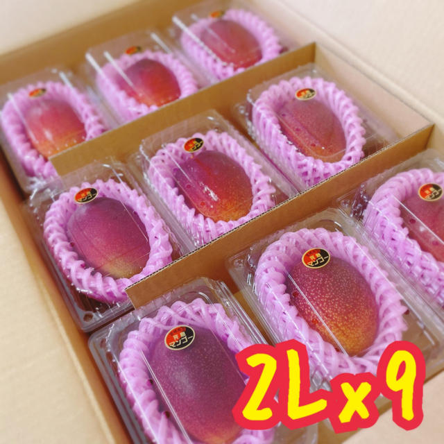 宮崎県産 完熟マンゴー 2L x 9パック - フルーツ