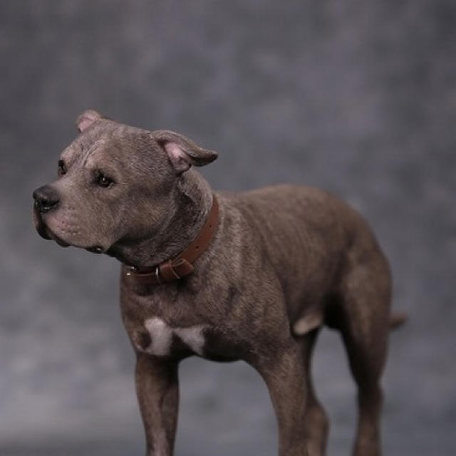 値下げ!即発送 ホットトイズ ジョンウィック 犬 セット 美品の 値下げ!即発送 ホットトイズ ジョンウィック 犬 セット 美品の