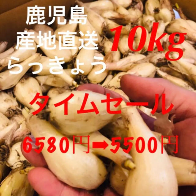 【タイムセール】鹿児島産らっきょう10kg 6580円➡︎5500円