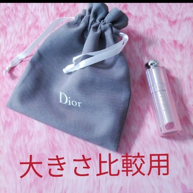 Dior(ディオール)の新品 Dior 巾着 ミニ巾着袋 ロゴ入り レディースのファッション小物(ポーチ)の商品写真