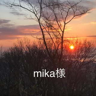 mika様専用(美容液)