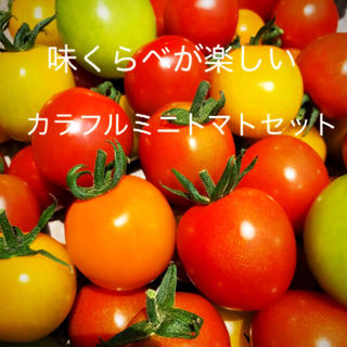 ミニトマトカラフルMIX1キロ(野菜)