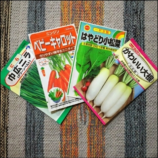 野菜の種　4種類  家庭菜園  プランター(野菜)