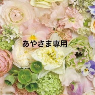 あやさま専用ページ♡(つけ爪/ネイルチップ)