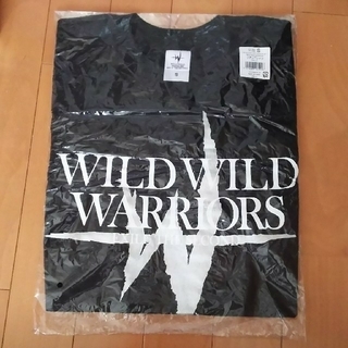 エグザイルザセカンド(EXILE THE SECOND)のEXILETHESECOND WILDWILDWARRIORSツアーTシャツ(ミュージシャン)