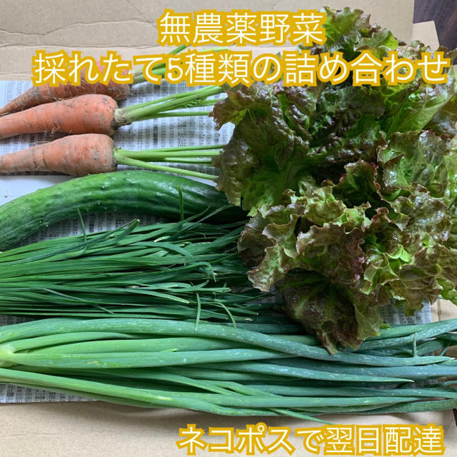 無農薬野菜＊採れたて5種類の詰め合わせ＊にら・きゅうりなど＊ネコポスで翌日配達＊ 食品/飲料/酒の食品(野菜)の商品写真