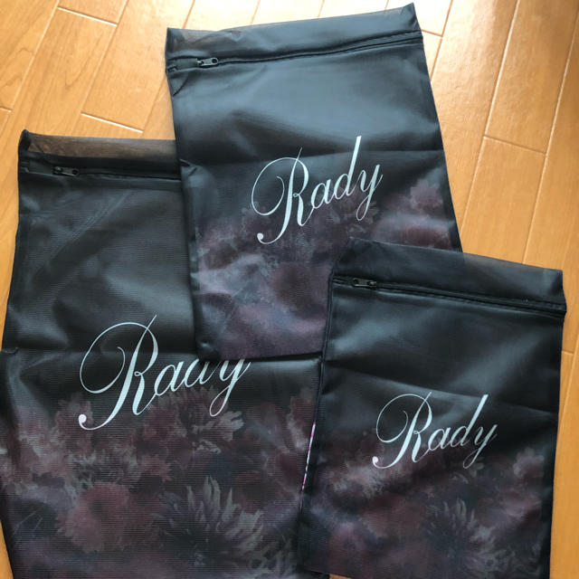 Rady(レディー)のノベルティ洗濯ネット エンタメ/ホビーのコレクション(ノベルティグッズ)の商品写真