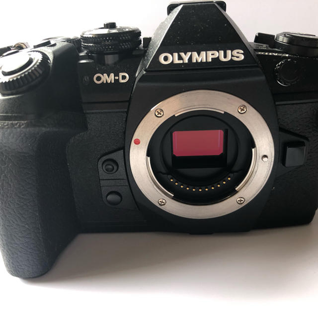 期間限定お試し価格】 オリンパス OM-D - OLYMPUS EM1 ボディ MarkⅡ