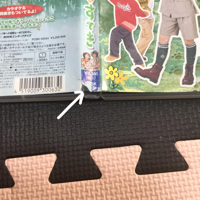 おかあさんといっしょふしぎはすてきDVD めろめろめろりぃさん専用