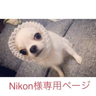 ロイヤルカナン(ROYAL CANIN)のNikon様専用ページ(ペットフード)