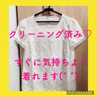 ジャスグリッティー(JUSGLITTY)の【クリーニング済み♡】JUSGLITTY レースブラウス♡(シャツ/ブラウス(半袖/袖なし))