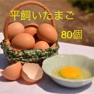 平飼いたまご　✴︎高原卵10個入り8パック✴︎ 国産もみじの卵　新鮮(野菜)