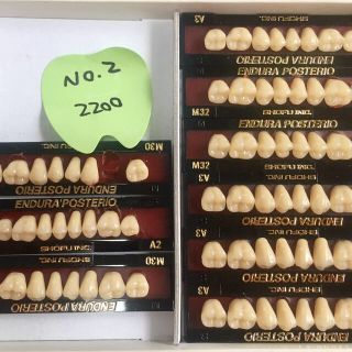 ぽん様専用です 歯科技工 人工歯 No.2とNo.15(その他)