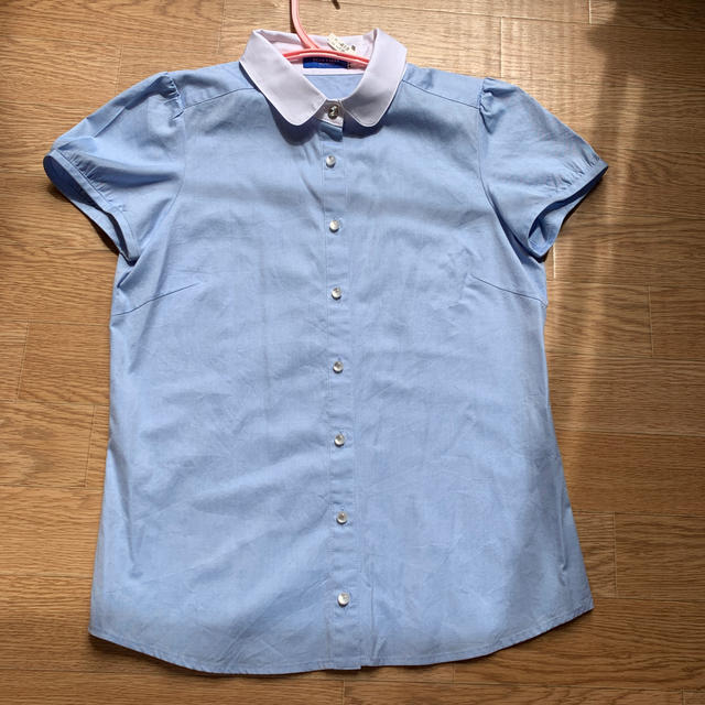 BURBERRY BLUE LABEL(バーバリーブルーレーベル)のブルーレーベルクレストブリッジ　パフスリーブ半袖シャツ レディースのトップス(シャツ/ブラウス(半袖/袖なし))の商品写真