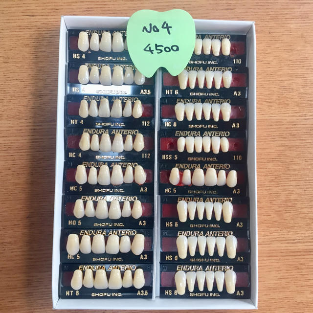 歯科技工 人工歯 No.4 その他のその他(その他)の商品写真