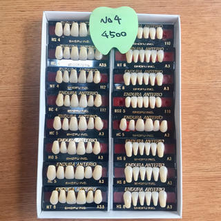 歯科技工 人工歯 No.4(その他)