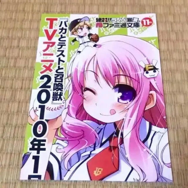 バカとテストと召喚獣 姫路瑞希 ミニポスター ラノベ 販促物 バカテス 井上堅二の通販 By 柑橘カラー S Shop ラクマ