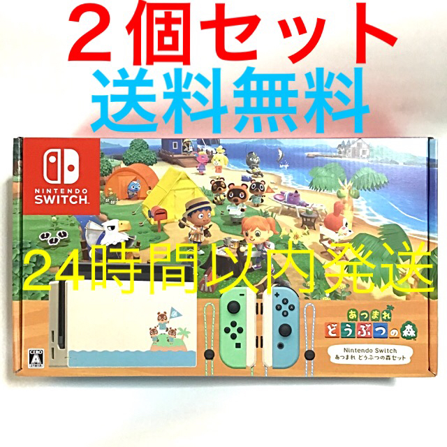 新しい季節 あつまれ 2個 - Switch Nintendo どうぶつの森セット ニンテンドースイッチ Switch 家庭用ゲーム機本体