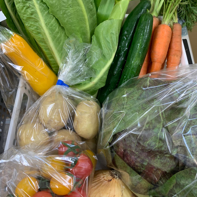 選べる野菜セット80サイズ 食品/飲料/酒の食品(野菜)の商品写真
