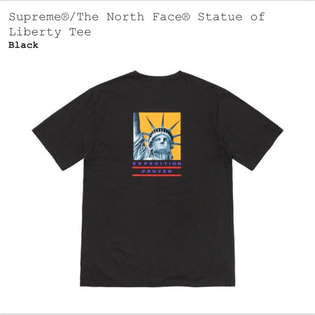 【Lサイズ】Supreme The North Face tee