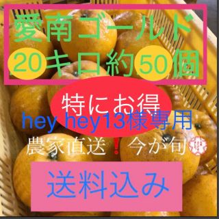 愛媛県産 農家直送 愛南ゴールド(河内晩柑)(フルーツ)