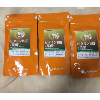 葉酸180mg +ビタミンB群　サプリ3ヵ月分×3袋(その他)