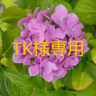 TK様専用(その他)