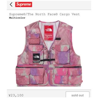 シュプリーム(Supreme)のSupreme / The North Face Cargo vest(ベスト)